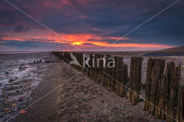 Wadden Sea