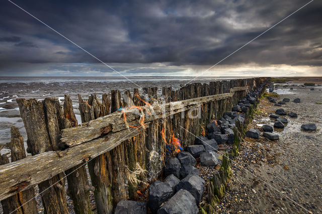 Waddenzee