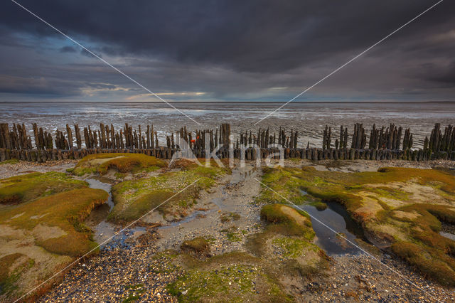 Waddenzee