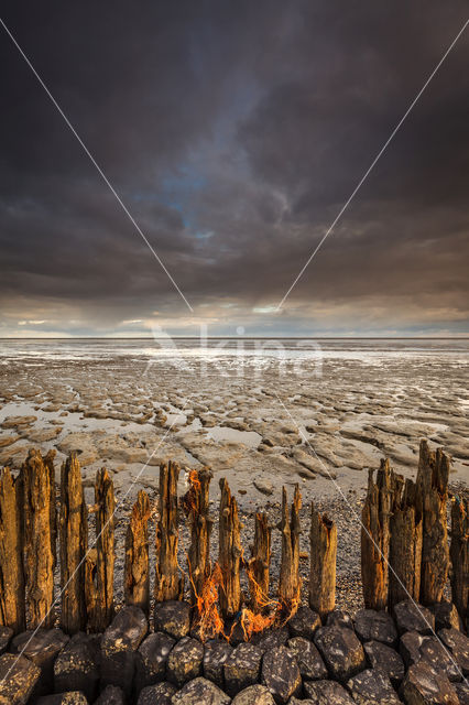 Waddenzee