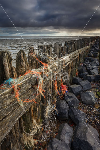 Wadden Sea