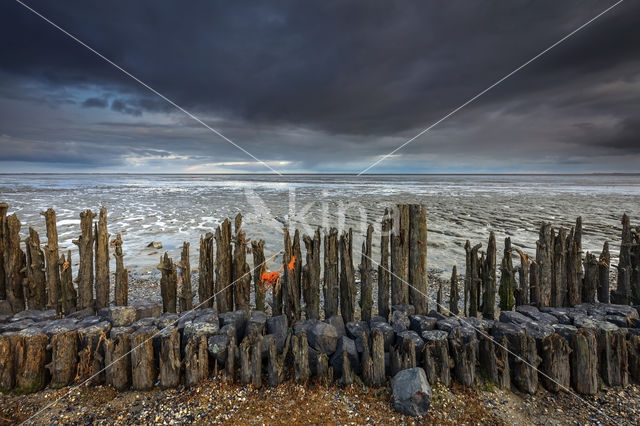 Wadden Sea