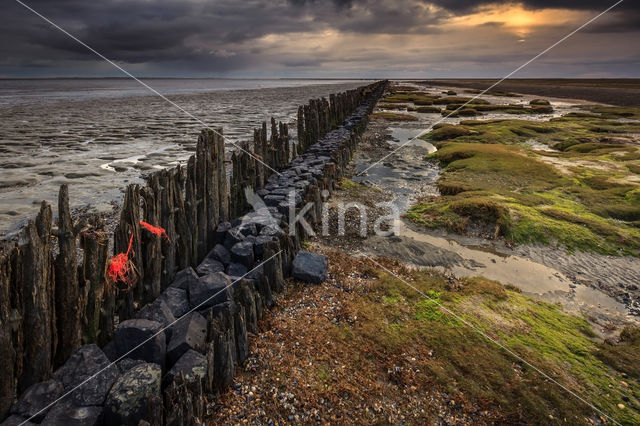 Waddenzee