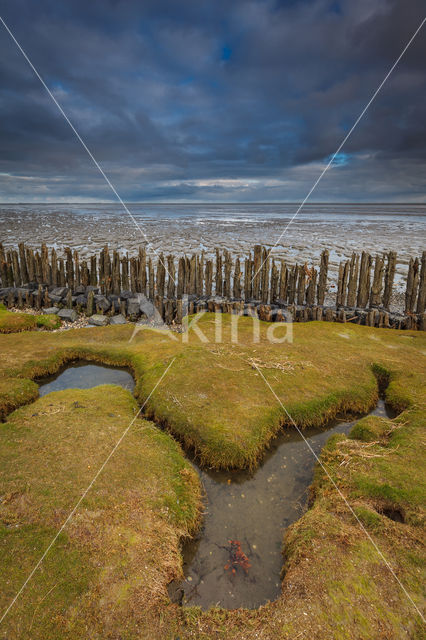 Wadden Sea