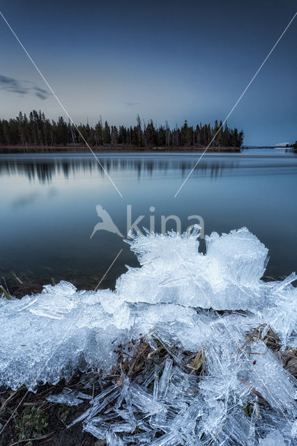 Yellowstone national park