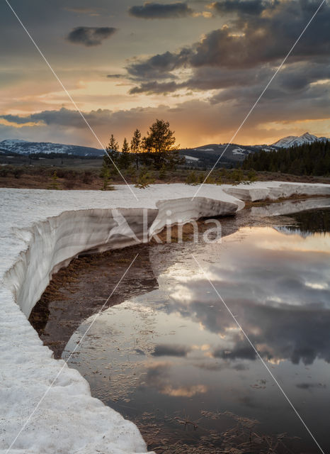 Yellowstone national park