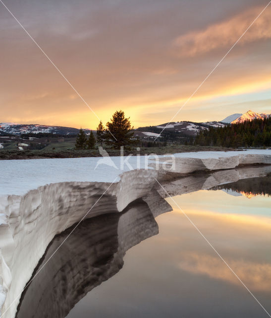 Yellowstone national park