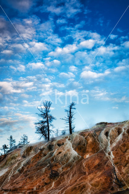 Yellowstone national park