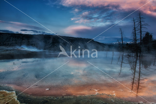 Yellowstone national park