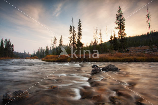 Yellowstone national park