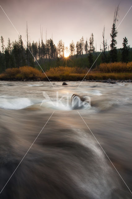 Yellowstone national park