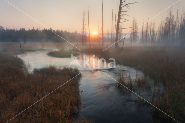 Yellowstone national park