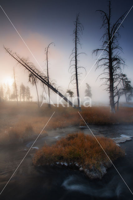 Yellowstone national park