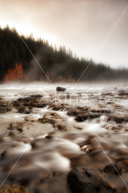 Yellowstone national park