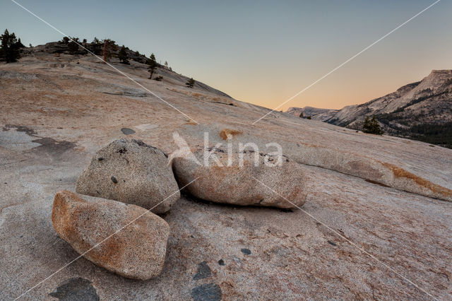 Yosemite National Park