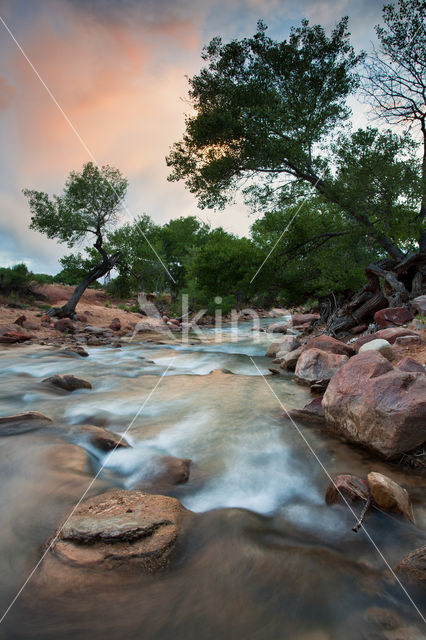 Zion National Park