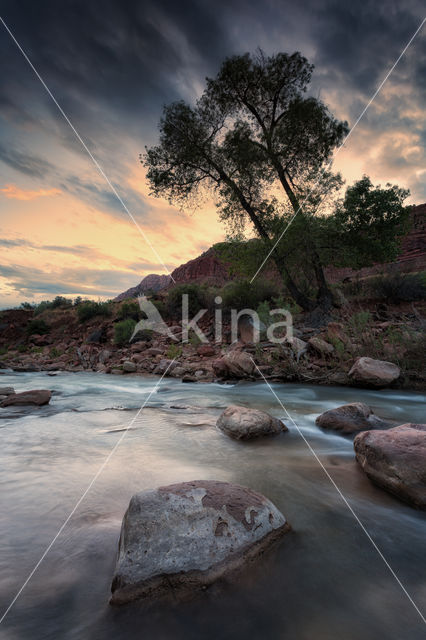 Zion National Park