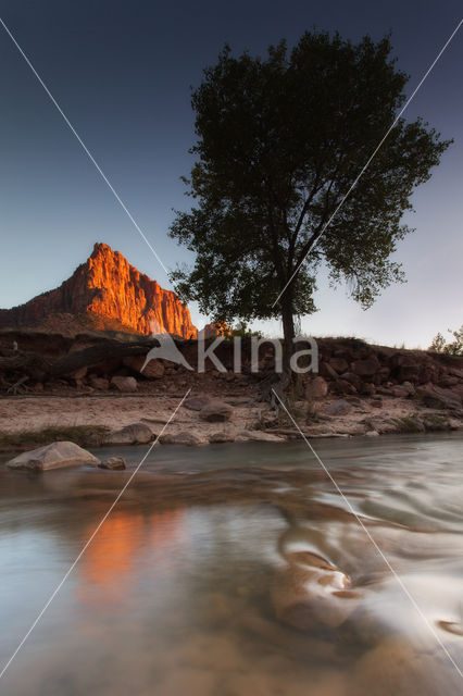 Zion National Park