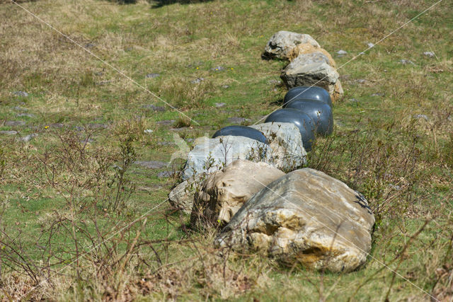 Brunssummerheide