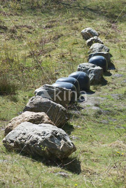 Brunssummerheide