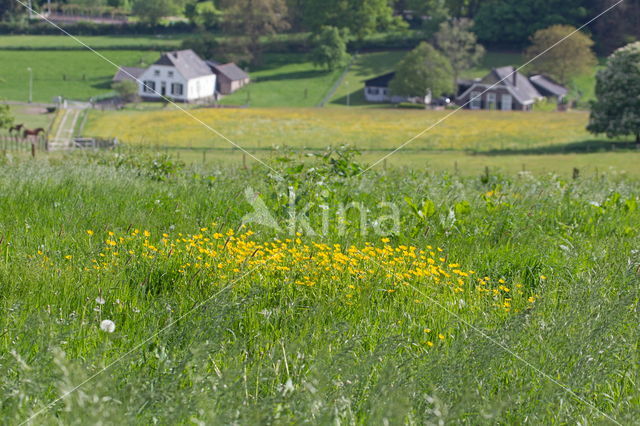 Landgoed Klarenbeek