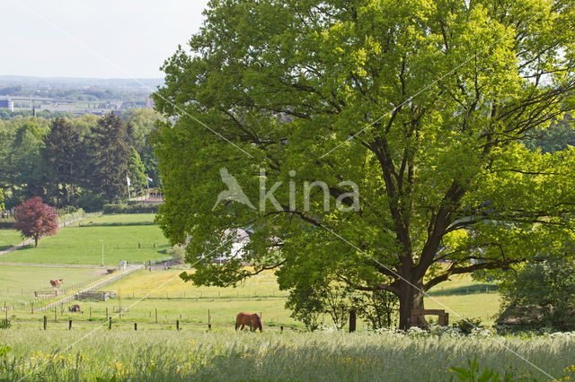 Landgoed Klarenbeek