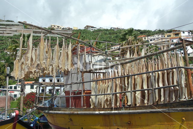 Madeira