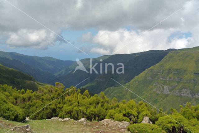 Madeira