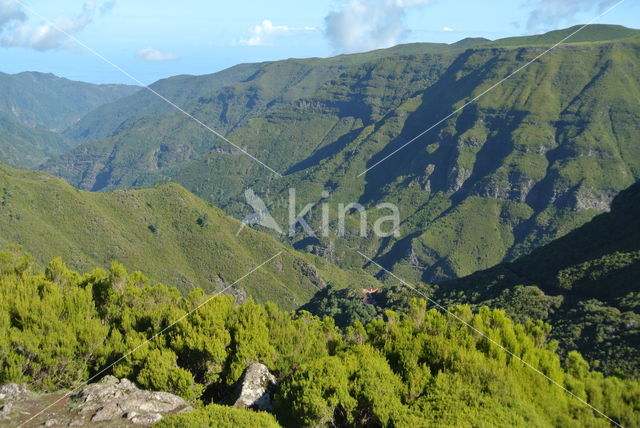 Madeira