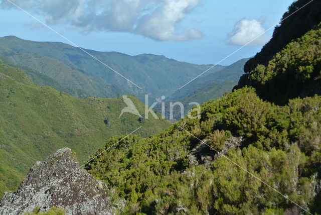 Madeira