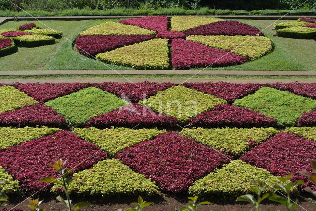 Madeira