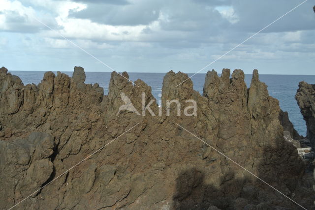 Madeira