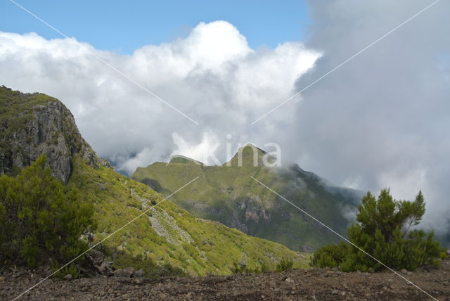 Madeira