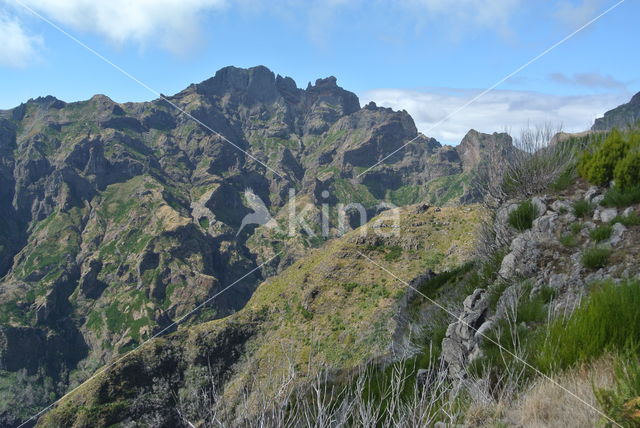 Madeira