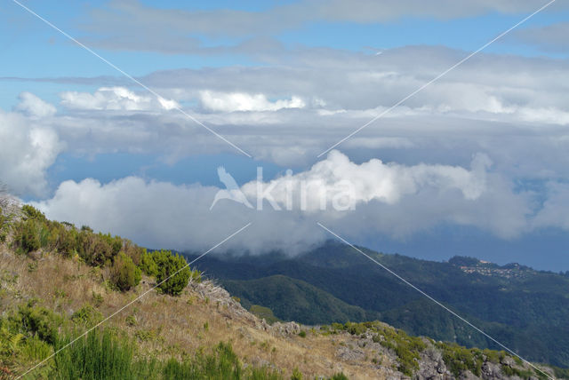 Madeira