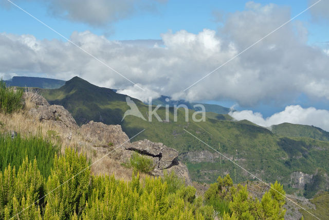 Madeira