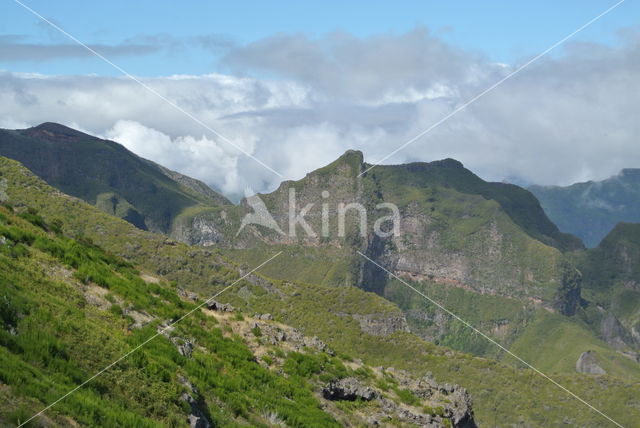 Madeira