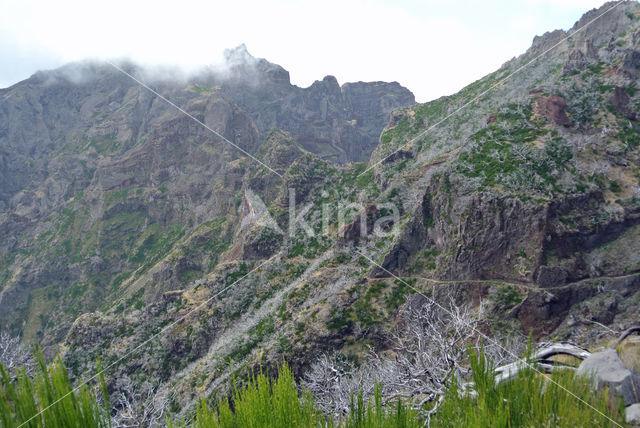 Madeira