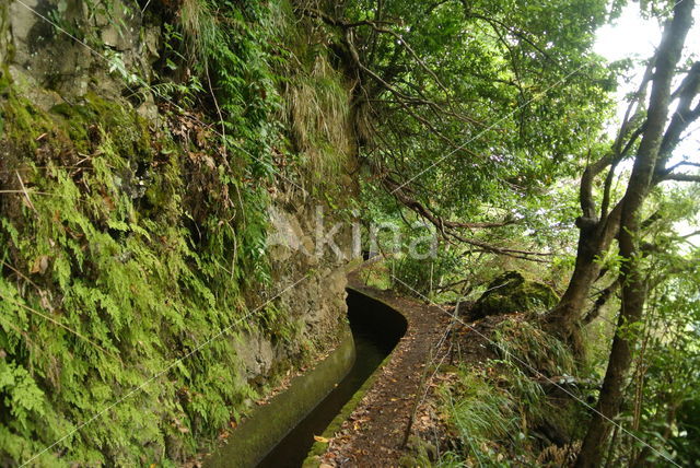 Madeira