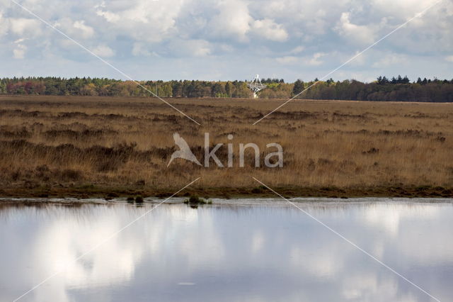 National Park Dwingelderveld