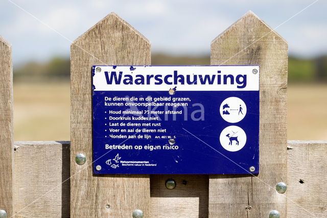 Nationaal park Dwingelderveld