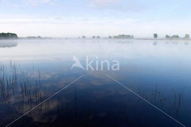 Nationaal Park Dwingelderveld