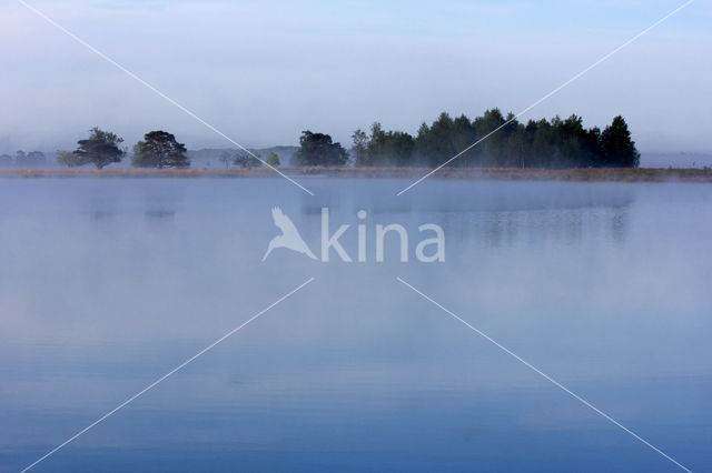 Nationaal Park Dwingelderveld