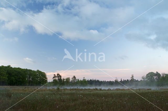 Nationaal Park Dwingelderveld