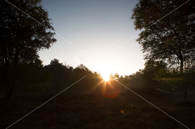 Nationaal Park Dwingelderveld