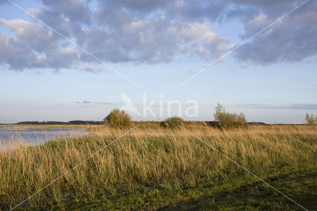 Nationaal Park Lauwersmeer