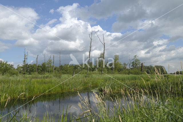 Polder het Oosterland