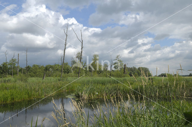 Polder het Oosterland