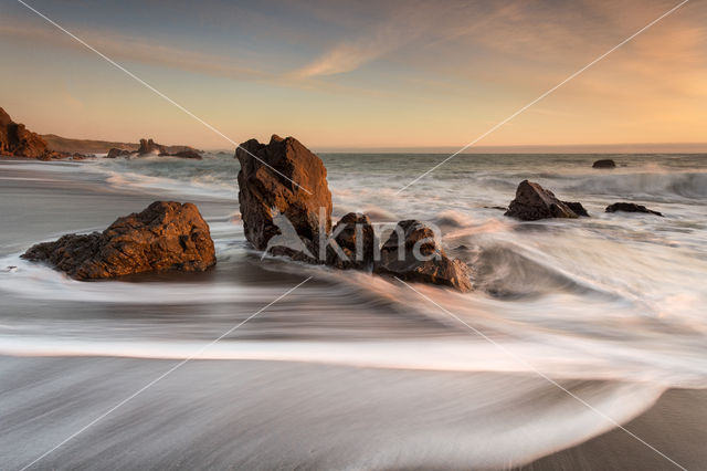 Sonoma Coast State Park