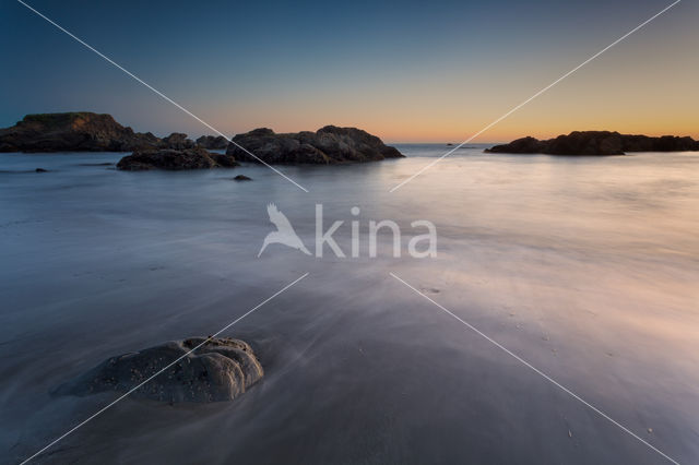 Sonoma Coast State Park